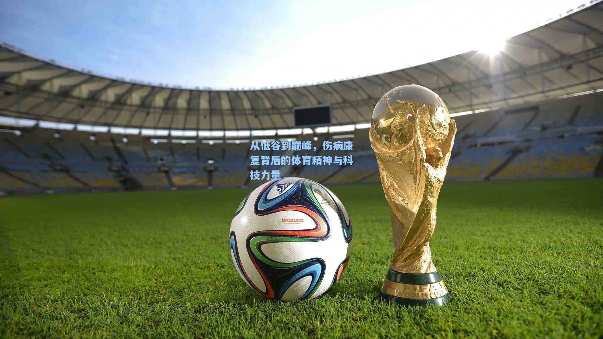 从低谷到巅峰，伤病康复背后的体育精神与科技力量